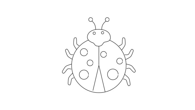 一只甲虫的动画素描图标
