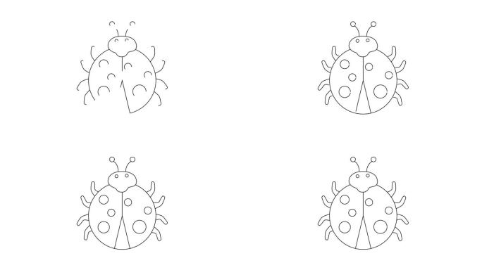 一只甲虫的动画素描图标