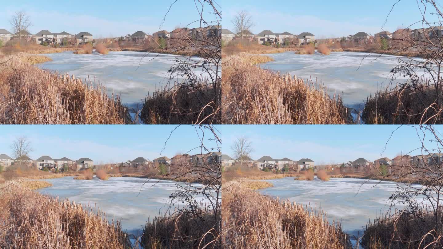 第一层冰覆盖了湖面