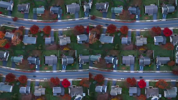 美国秋天的郊区街道。从上到下的航拍照片，汽车在五颜六色的树木附近驶过房屋。