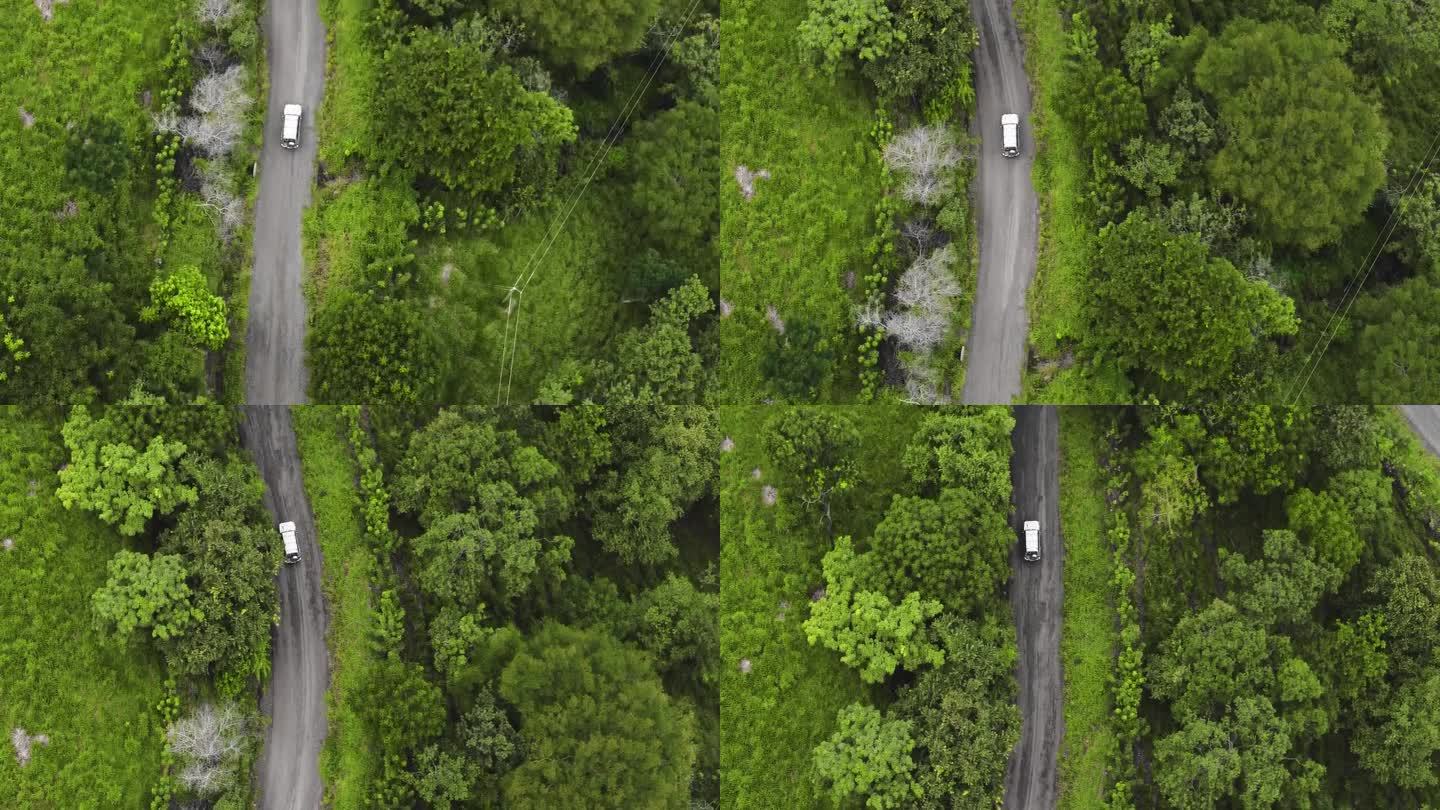 4 × 4吉普车越野车驾驶越野车穿越丛林绿色深植被空中无人机