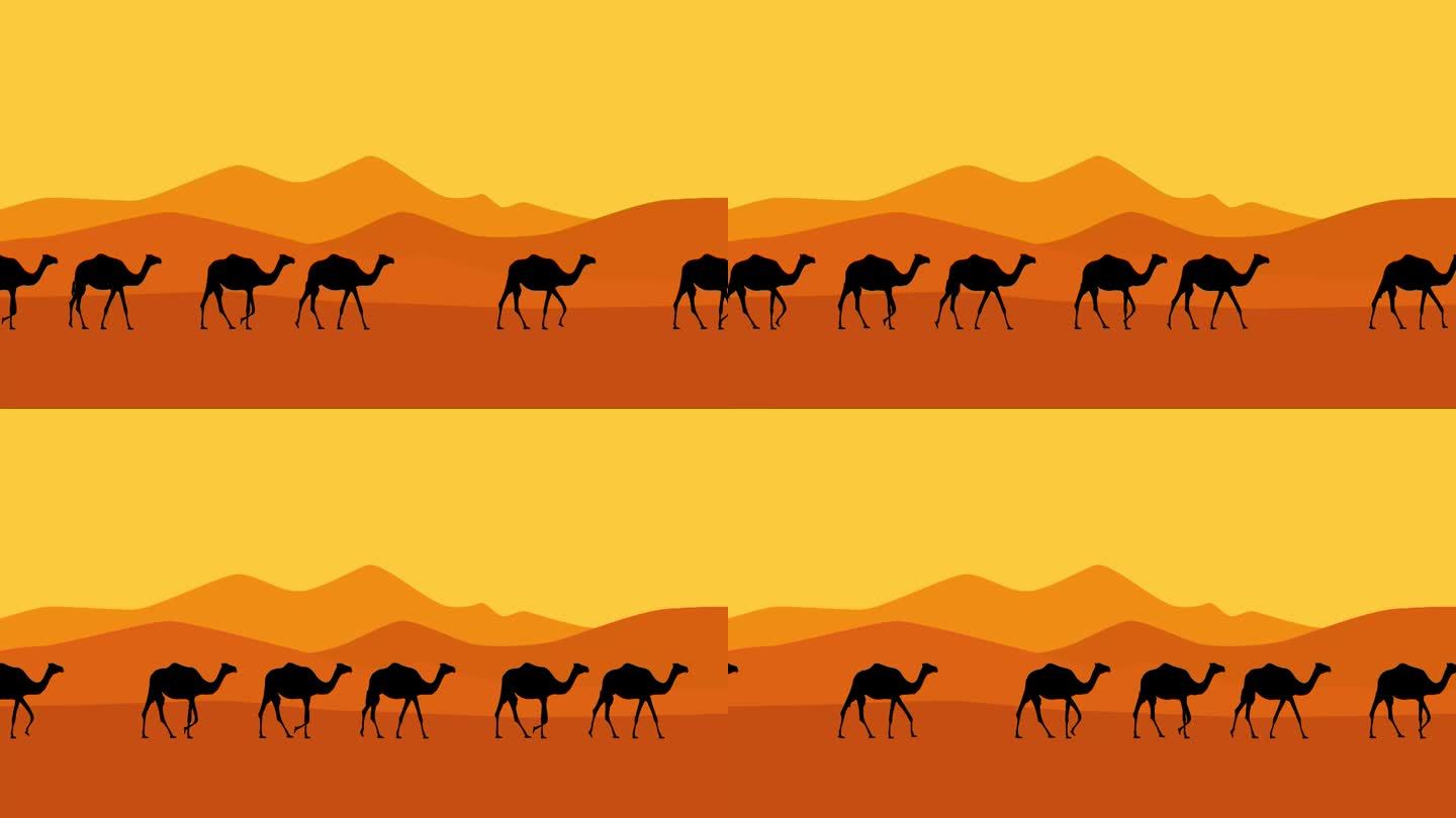 骆驼动画