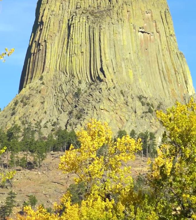 秋天的魔鬼塔丘。美国怀俄明州。垂直视频