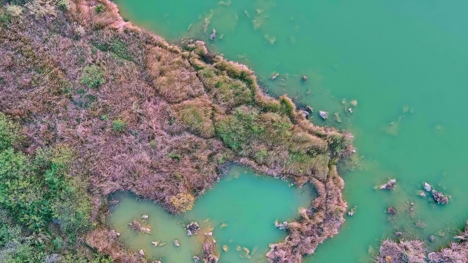 航拍广西扶绥龙谷湾恐龙公园湿地