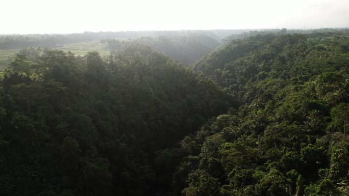 巴厘岛中部大片的森林峡谷，在对比光线下的航拍。