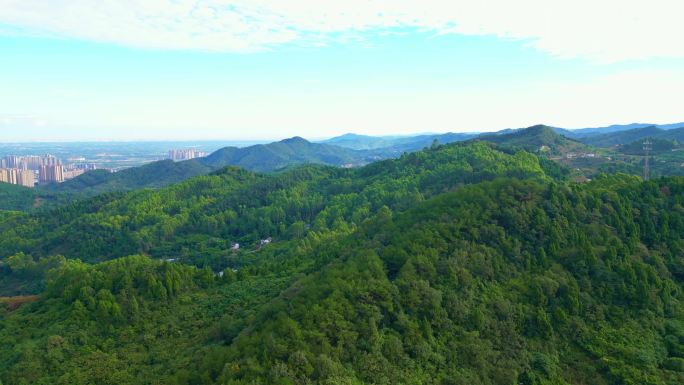 成都【龙泉山】生态树林龙泉山脉合集