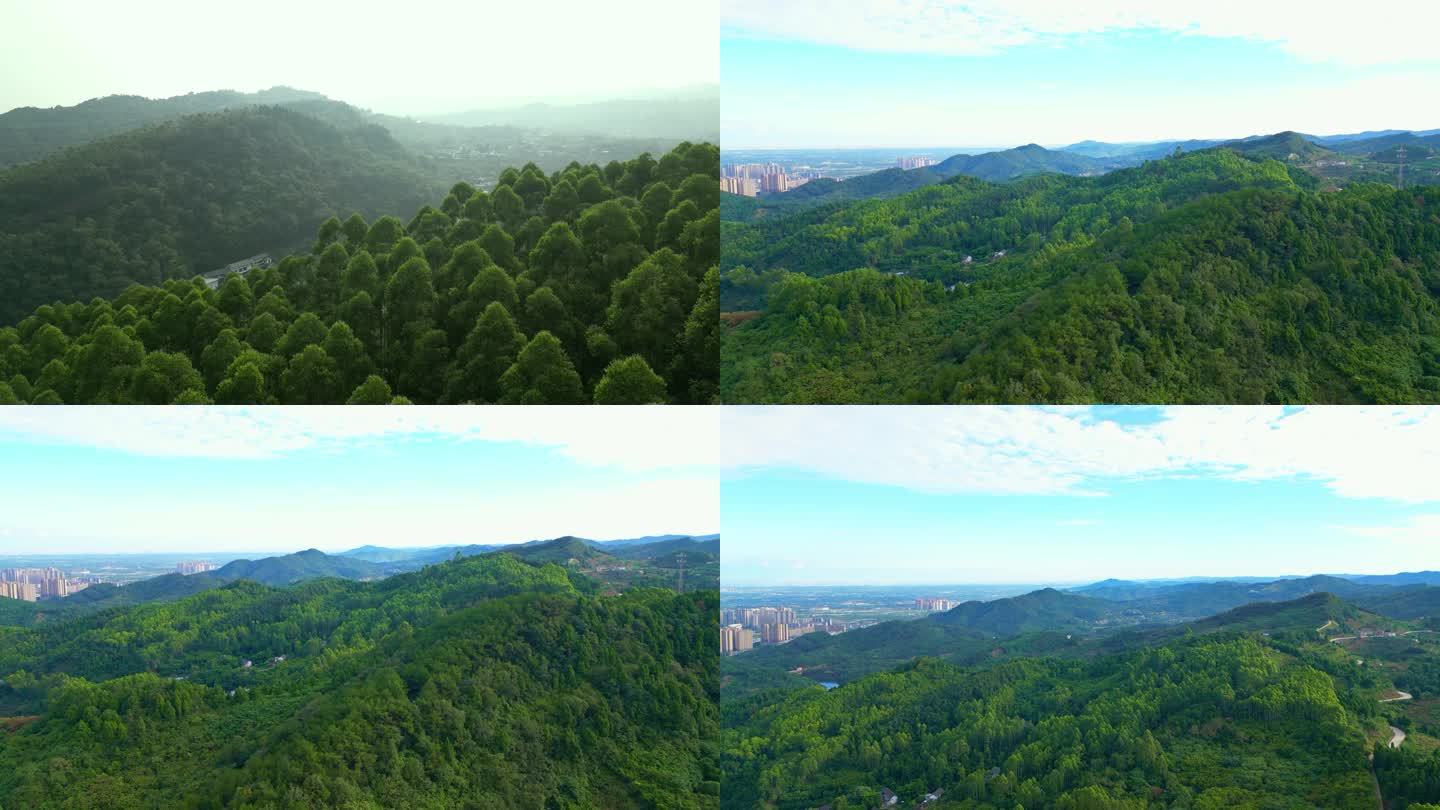成都【龙泉山】生态树林龙泉山脉合集