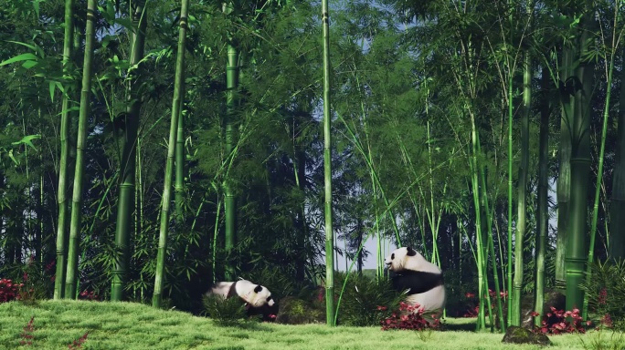 竹林熊猫