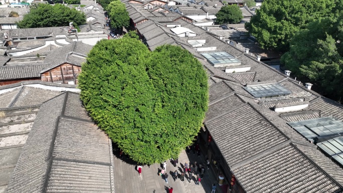 福州鼓楼区南后街三坊七巷历史文化街区航拍