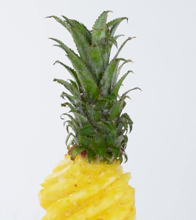 新鲜的水果菠萝