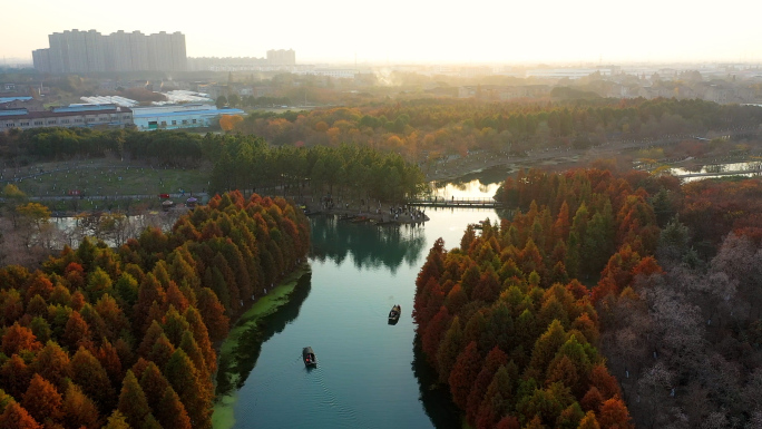 常州新北区新龙生态林水上森林秋景航拍