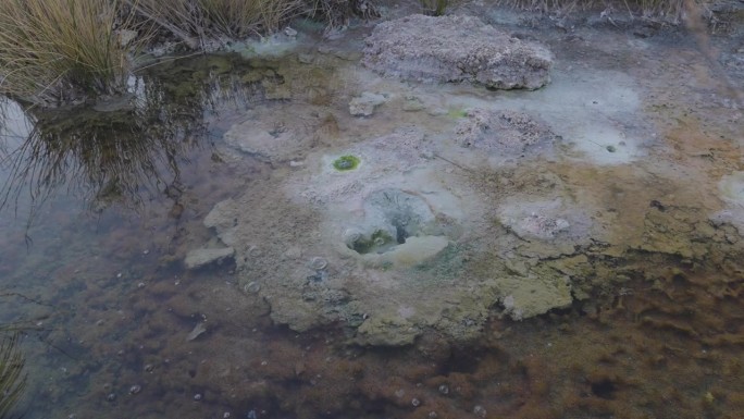 热矿物硫磺水与绿色沉积物，沸腾的气泡从地球上的洞自然美妙的天然矿泉水治疗水疗中心在伊朗沙特阿拉伯健康