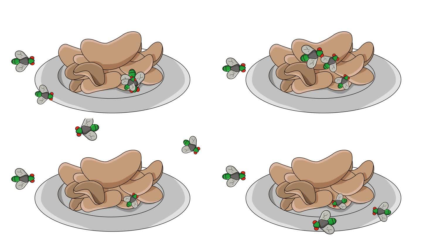 苍蝇造访薯片的动画