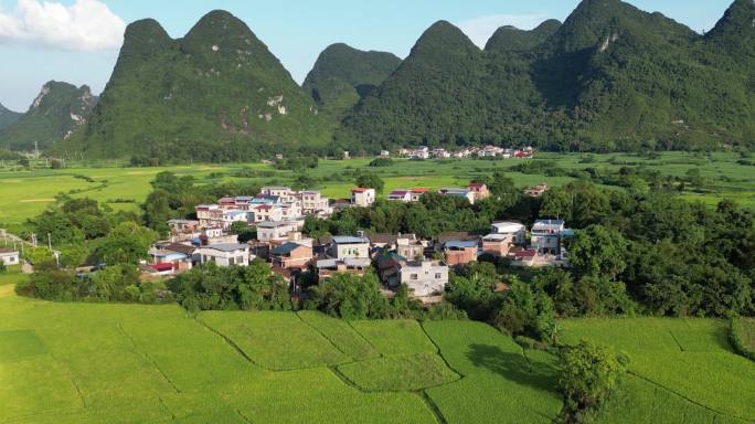 绿色风景农业乡村土地庄稼