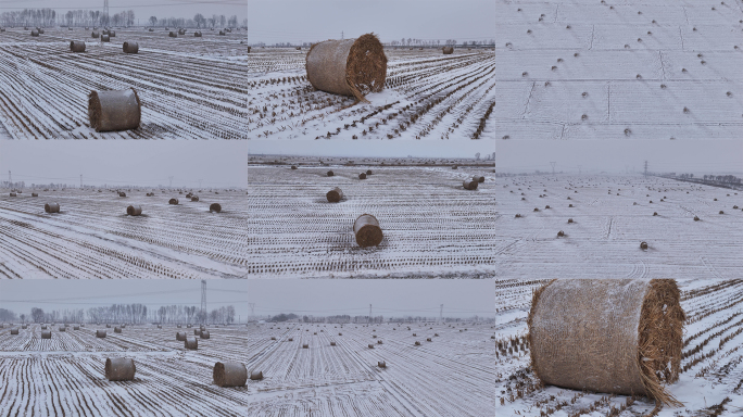 冬季秸秆回收 雪后秸秆