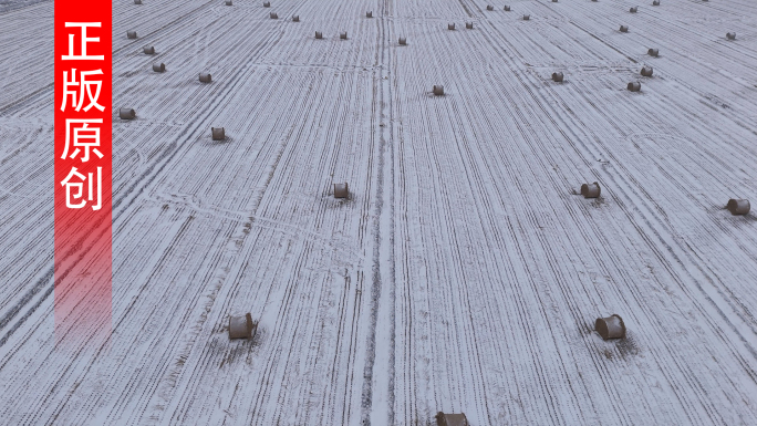 冬季秸秆回收 雪后秸秆