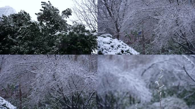 下雪升格 雪景慢镜头  雪花飘落