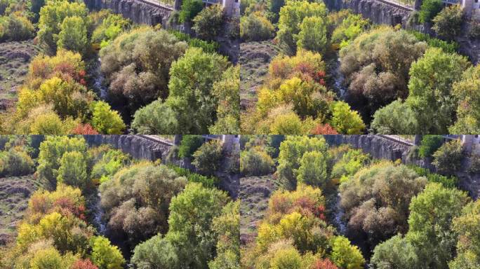 赫拉兹丹河边的秋色