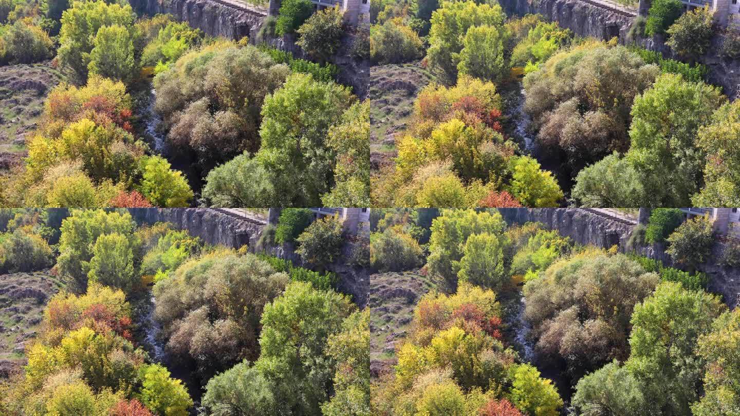 赫拉兹丹河边的秋色