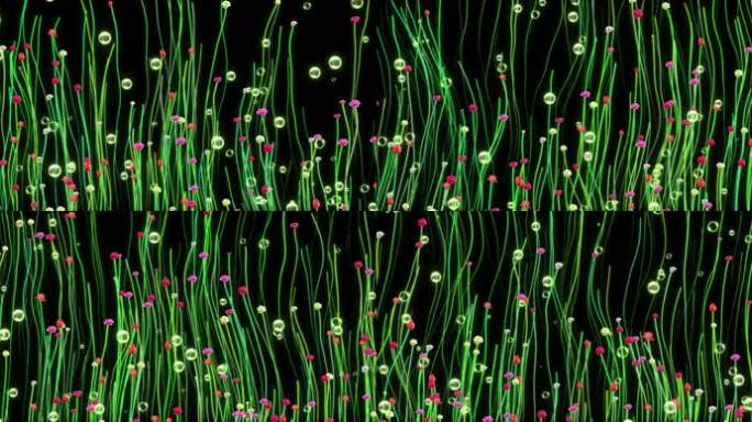 8k沉浸式粒子花草玫瑰植物生长大屏幕投影