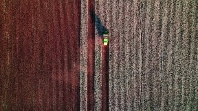 一辆绿色的联合收割机收集棉花，展示了现代农业