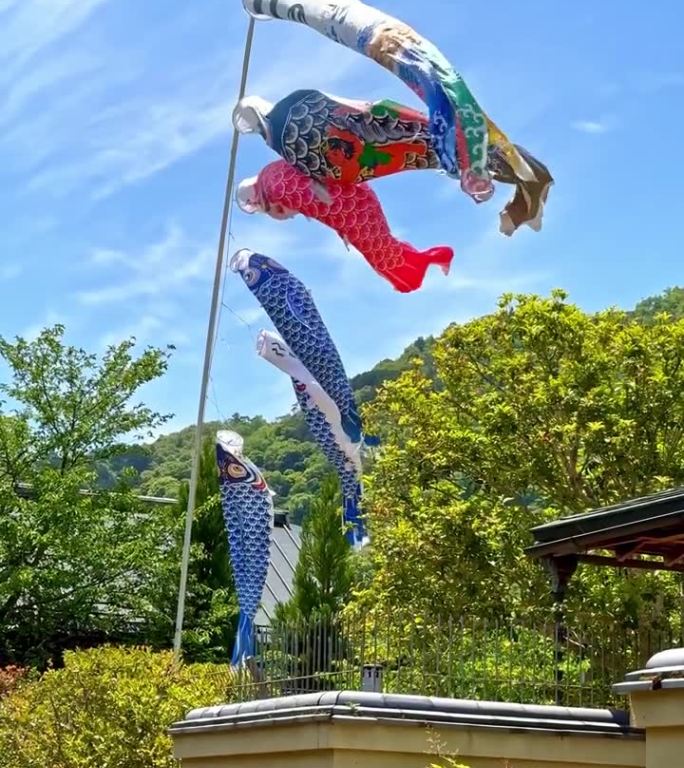 鲤鱼旗在日本的蓝天上飘扬。Koinobori