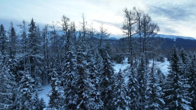 新疆冬季雪地雪景航拍-3