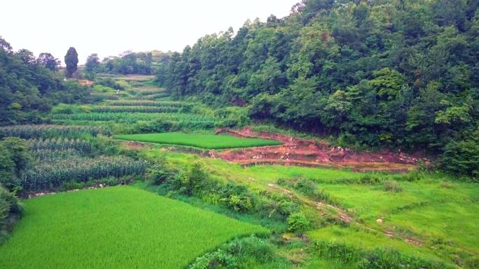 露营航拍和地拍