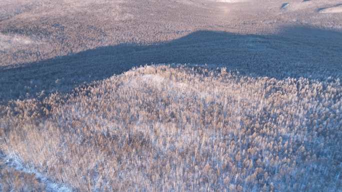 航拍大兴安岭林海雪原