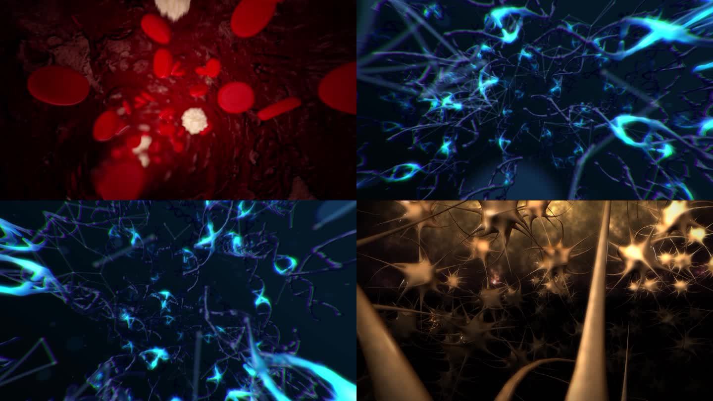 红细胞白细胞流动血神经元DNA星空宇宙