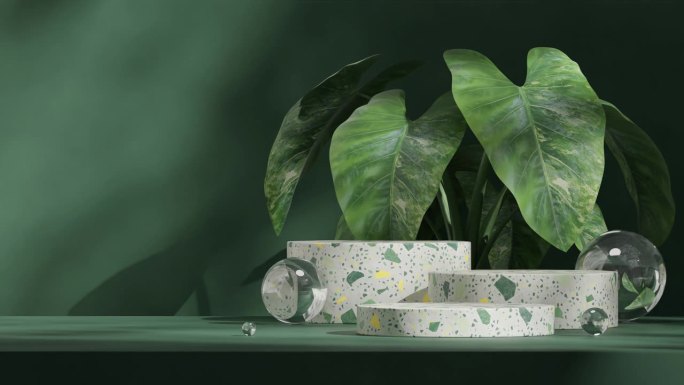 无缝阴影动画循环与钙植物和玻璃球，渲染3d镜头空白模型的绿色水磨石讲台