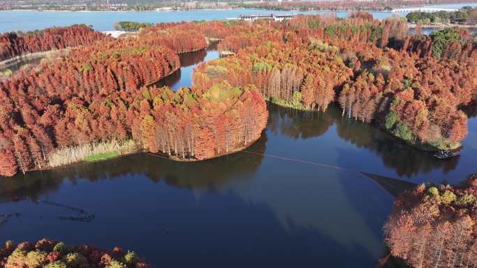 秋天的尚湖湿地公园