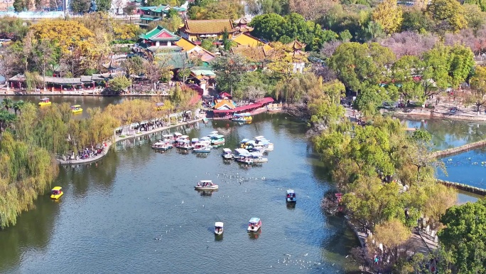 云南昆明翠湖公园高清航拍视频素材