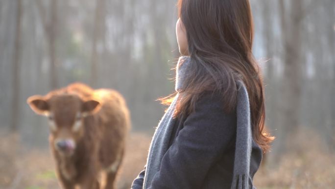 美女户外动物树林阳光航拍草丛散步户外姑娘