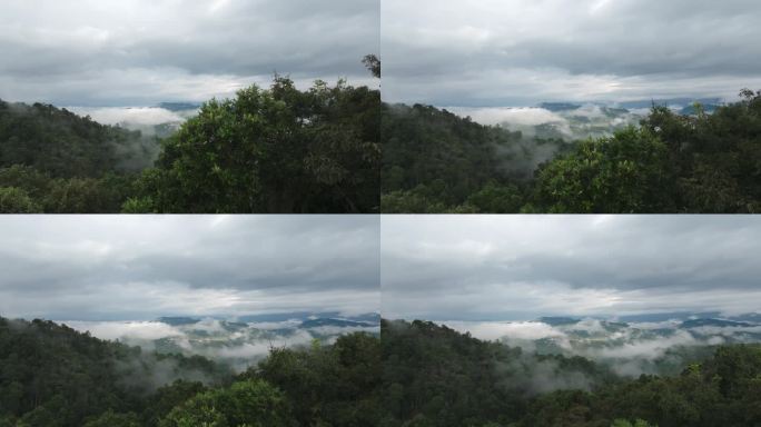 雾林上升透镜