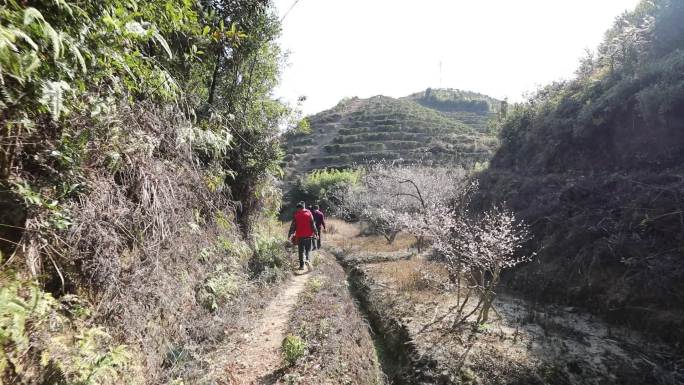 客家祠堂 入伙 仪式 非遗文化 农村风俗