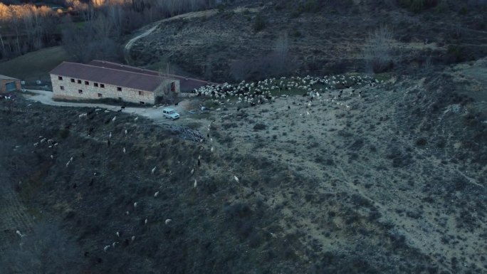 小镇tejadillos castilla de la mancha cuenca西班牙与羊散步和兔