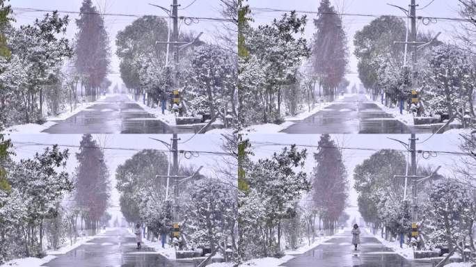 下雪雪景田野树木树林道路树枝雪花飘落