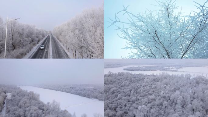 4k哈尔滨雾凇雪景景观下雪哈尔滨