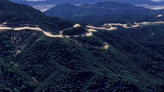 山川 森林 树林 青山绿水