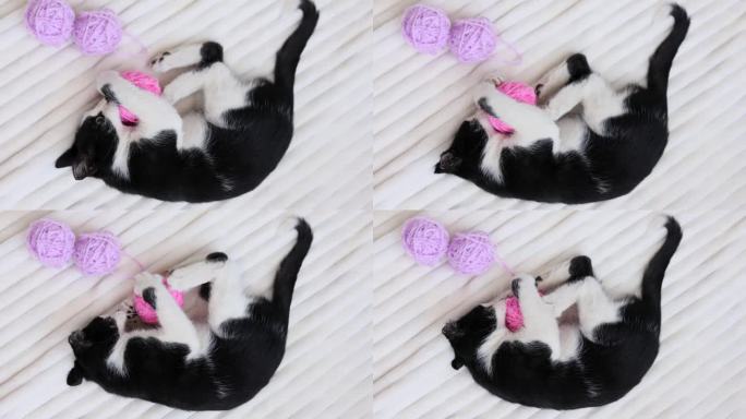 一只可爱的小猫喜欢在他家卧室的床上玩毛线球。