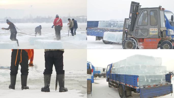 东北冬季采冰运冰锯冰做冰雕准备