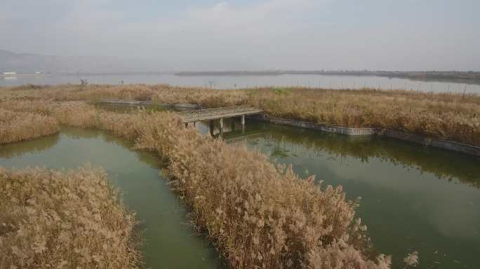 黄河   黄河   小浪底