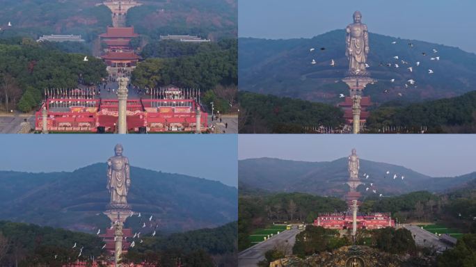 无锡灵山胜境和平鸽