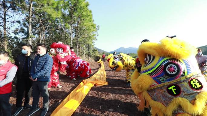 祠堂 舞龙 牵龙 老家祖屋 非遗文化