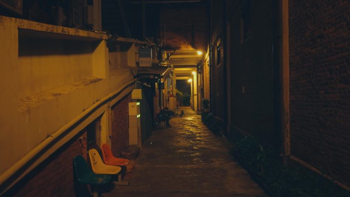 广州 城市夜景 巷子 街景 街道 霓虹灯
