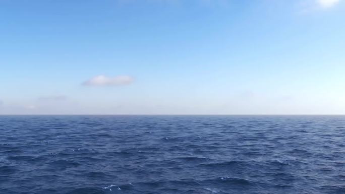 4k大海动态写实三维特效背景