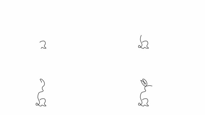 连续的一条线画复活节兔子。可爱的轮廓与耳朵兔子在一个简单的线性风格。最小线性视频