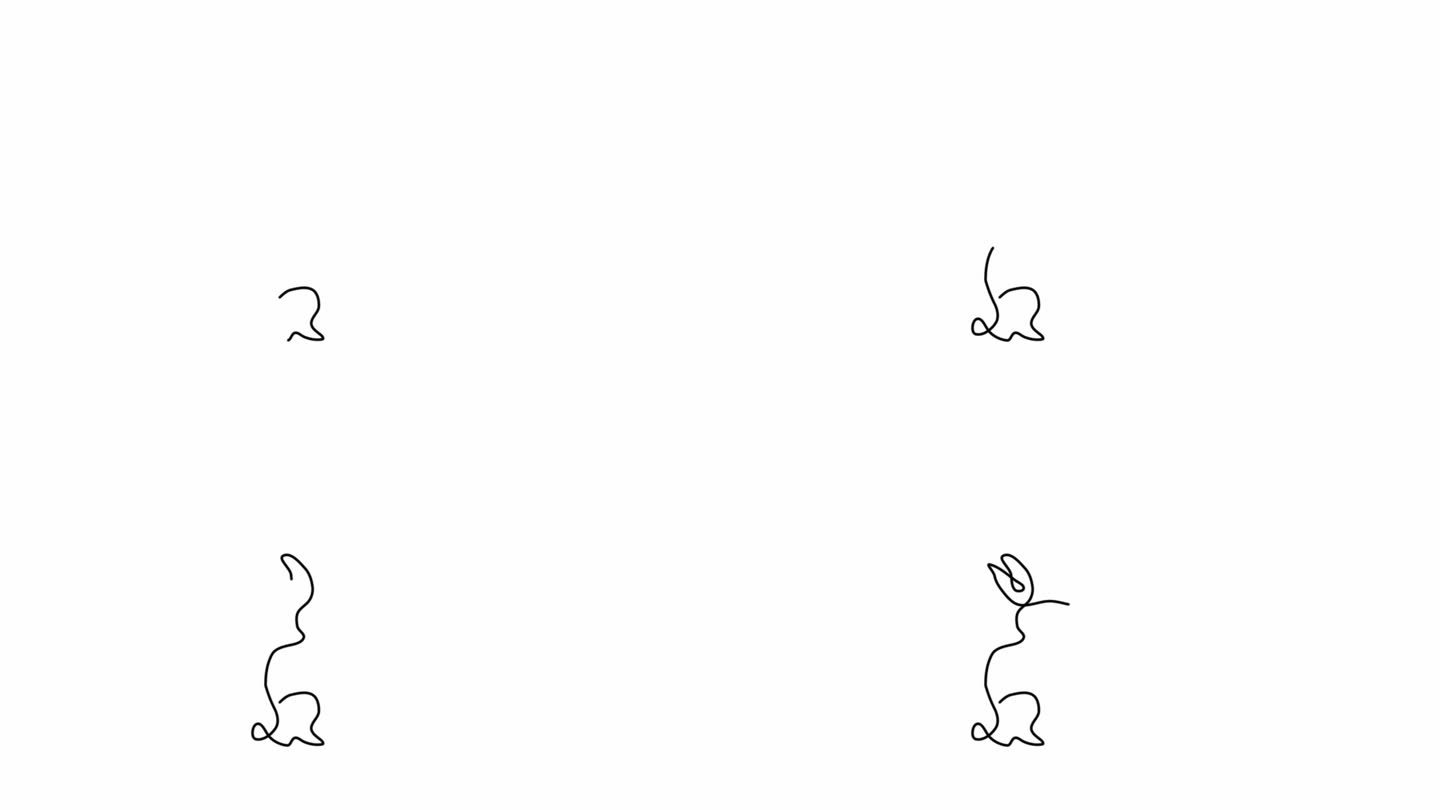 连续的一条线画复活节兔子。可爱的轮廓与耳朵兔子在一个简单的线性风格。最小线性视频