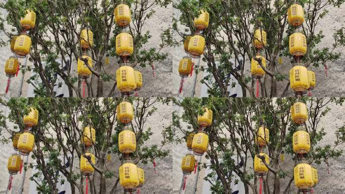 树上的黄色灯笼